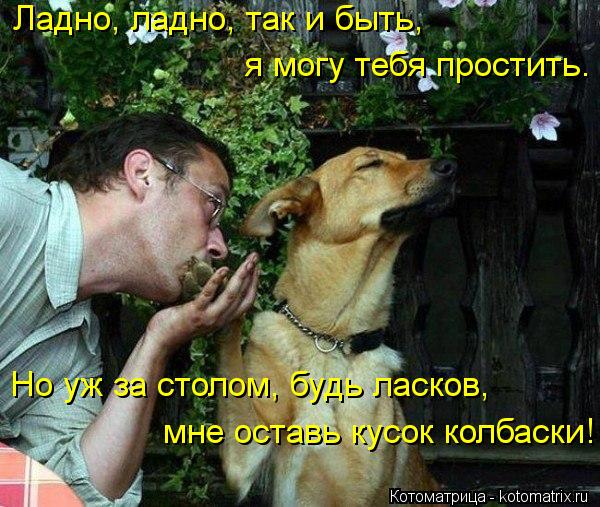 Ладно, ладно, так и быть, я могу тебя простить. Но уж за столом, будь ласков, мне оставь кусок ко... Котоматрица: Ладно, ладно, так и быть, я могу тебя простить. Но уж за столом, будь ласков, мне оставь кусок колбаски!