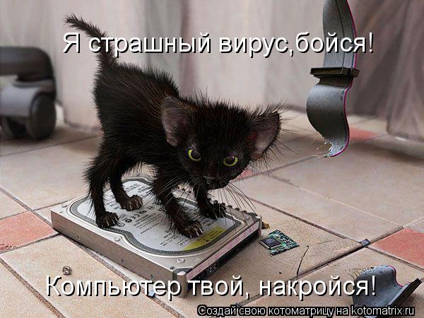 Котоматрица: Я страшный вирус,бойся! Компьютер твой, накройся!