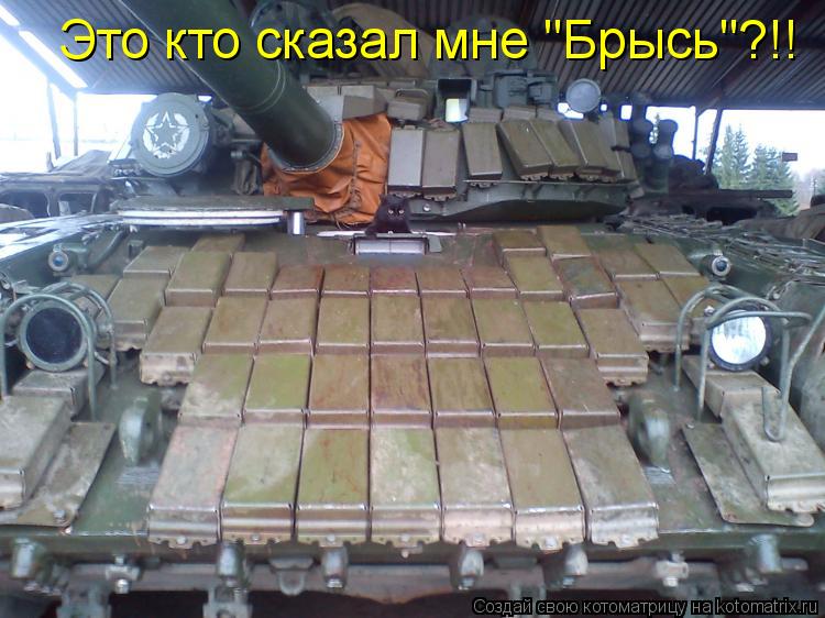 Это кто сказал мне "Брысь"?!!... Котоматрица: Это кто сказал мне "Брысь"?!!