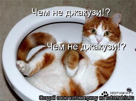 Котоматрица: Чем не джакузи!? Чем не джакузи!?