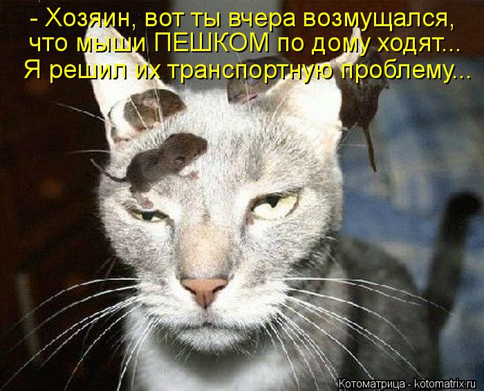 - Хозяин, вот ты вчера возмущался, что мыши ПЕШКОМ по дому ходят... Я решил их транспортную проблему.... Котоматрица: - Хозяин, вот ты вчера возмущался, что мыши ПЕШКОМ по дому ходят... Я решил их транспортную проблему...