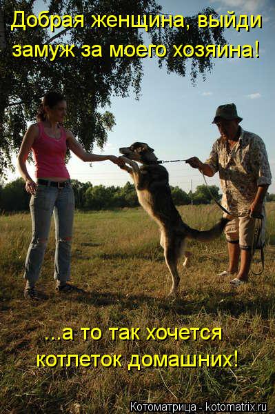 Котоматрица: Добрая женщина, выйди  замуж за моего хозяина!  ...а то так хочется  котлеток домашних!