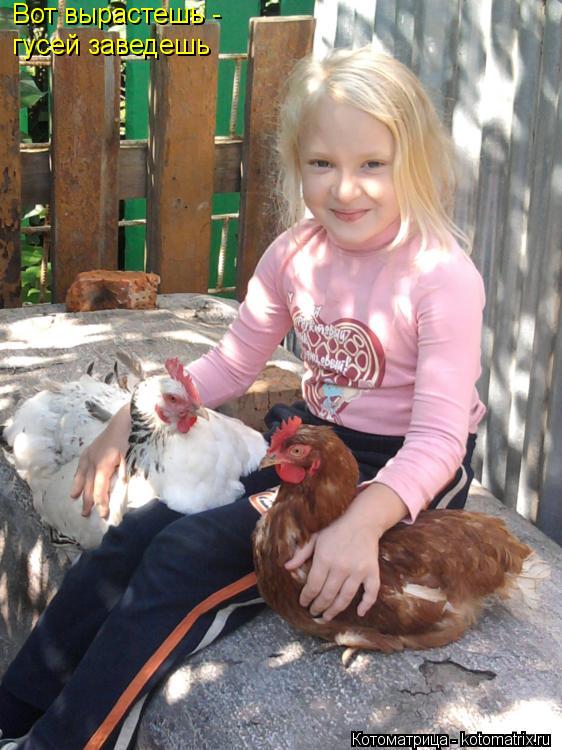 Котоматрица: Вот вырастешь - гусей заведешь
