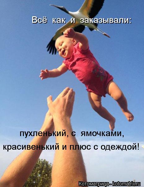 Котоматрица: Всё  как  и  заказывали: пухленький, с  ямочками, пухленький, с  ямочками, красивенький и плюс с одеждой! красивенький и плюс с одеждой!