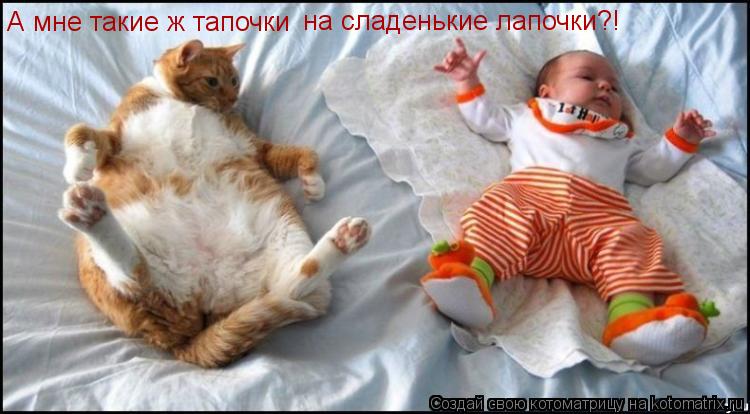 Котоматрица: А мне такие ж тапочки на сладенькие лапочки?!