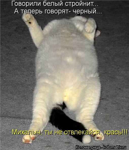 Говорили белый стройнит... А теперь говорят- черный... Михалыч, ты не отвлекайся, крась!!! Михалыч, т... Котоматрица: Говорили белый стройнит... А теперь говорят- черный... Михалыч, ты не отвлекайся, крась!!! Михалыч, ты не отвлекайся, крась!!!