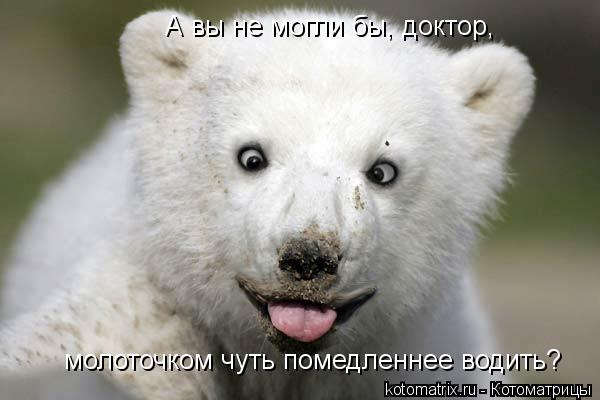 Котоматрица: А вы не могли бы, доктор, молоточком чуть помедленнее водить?