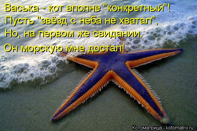 Котоматрица: Васька - кот вполне "конкретный"!  Пусть "звёзд с неба не хватал",  Но, на первом же свидании, Он морскую мне достал!