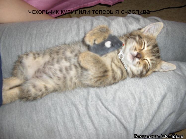 Котоматрица: чехольчик купилили теперь я счаслива