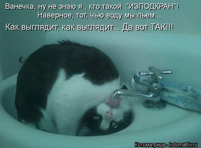 Котоматрица: Ванечка, ну не знаю я , кто такой  "ИЗПОДКРАН"!  Наверное, тот, чью воду мы пьем... Как выглядит, как выглядит... Да вот ТАК!!!
