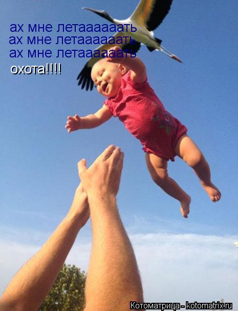 Котоматрица: ах мне летаааааать ах мне летаааааать ах мне летаааааать охота!!!!