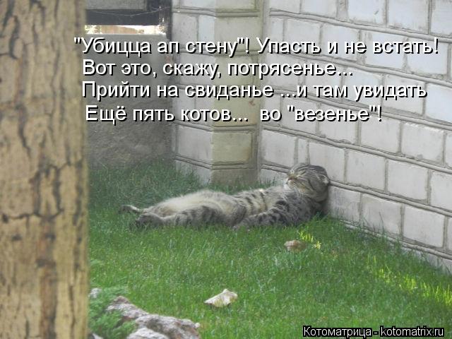 Котоматрица: "Убицца ап стену"! Упасть и не встать! Вот это, скажу, потрясенье... Прийти на свиданье ...и там увидать Ещё пять котов...  во "везенье"!