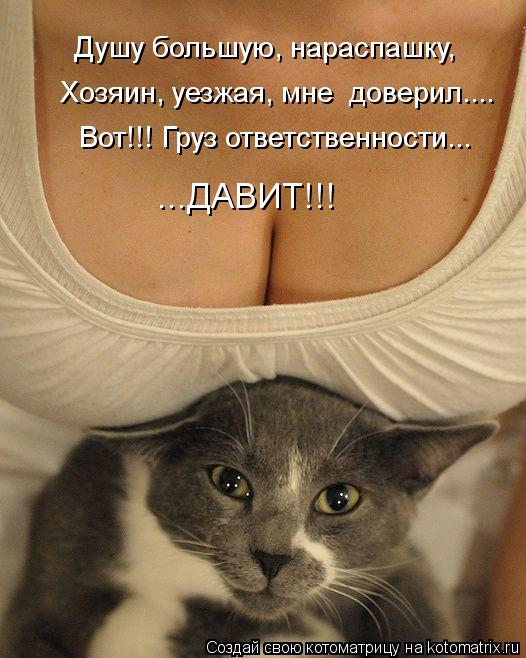 Котоматрица: Душу большую, нараспашку, Хозяин, уезжая, мне  доверил.... Вот!!! Груз ответственности... ...ДАВИТ!!!