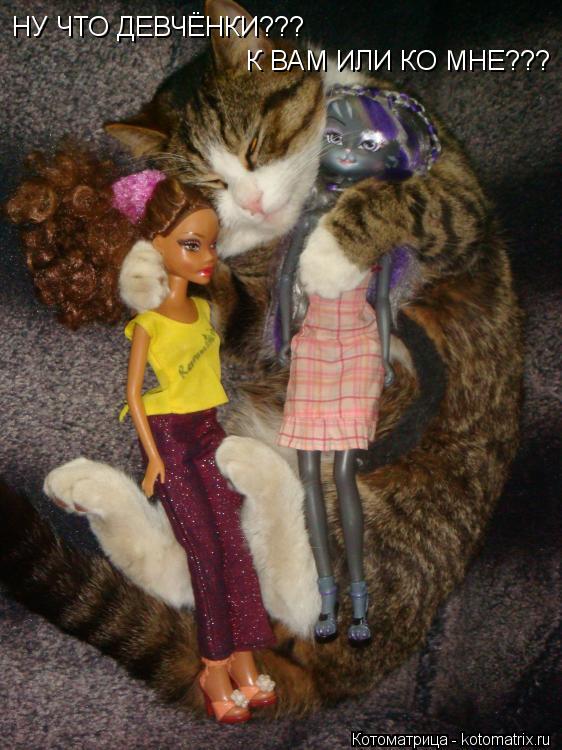 НУ ЧТО ДЕВЧЁНКИ??? К ВАМ ИЛИ КО МНЕ???... Котоматрица: НУ ЧТО ДЕВЧЁНКИ??? К ВАМ ИЛИ КО МНЕ???