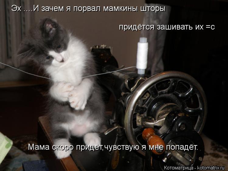 Эх ....И зачем я порвал мамкины шторы Мама скоро придёт,чувствую я мне попадёт. придётся зашивать их... Котоматрица: Эх ....И зачем я порвал мамкины шторы Мама скоро придёт,чувствую я мне попадёт. придётся зашивать их =с