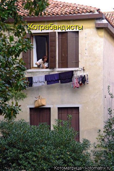 Котоматрица: Котрабандисты