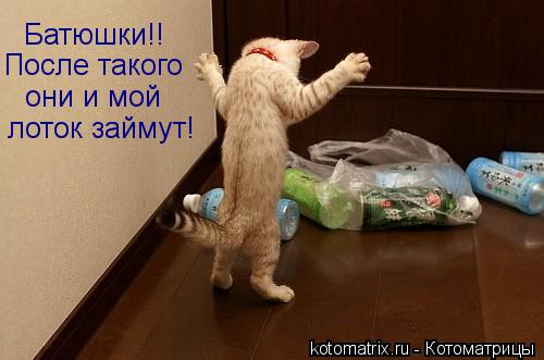 Котоматрица: Батюшки!! После такого они и мой лоток займут!