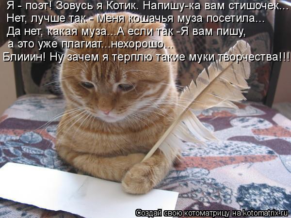 Я - поэт! Зовусь я Котик. Напишу-ка вам стишочек... Нет, лучше так - Меня кошачья муза посетила... Да... Котоматрица: Я - поэт! Зовусь я Котик. Напишу-ка вам стишочек... Нет, лучше так - Меня кошачья муза посетила... Да нет, какая муза...А если так -Я вам пишу, а это