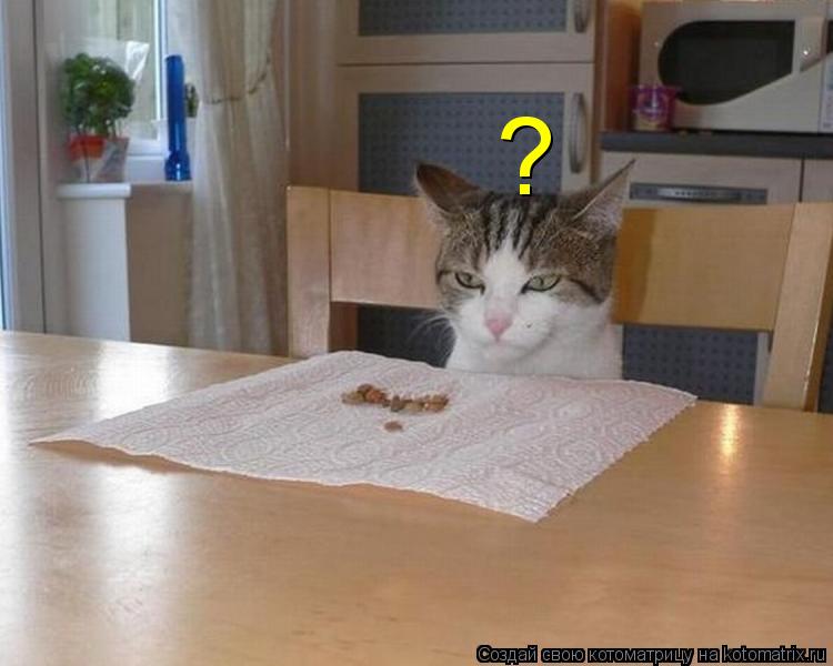 Котоматрица: ?