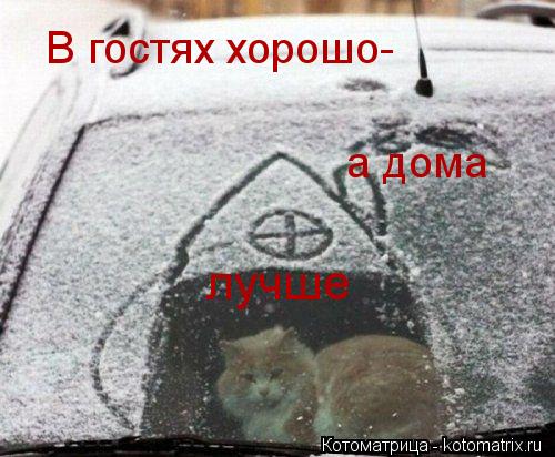 а дома лучше В гостях хорошо-... Котоматрица: а дома лучше В гостях хорошо-