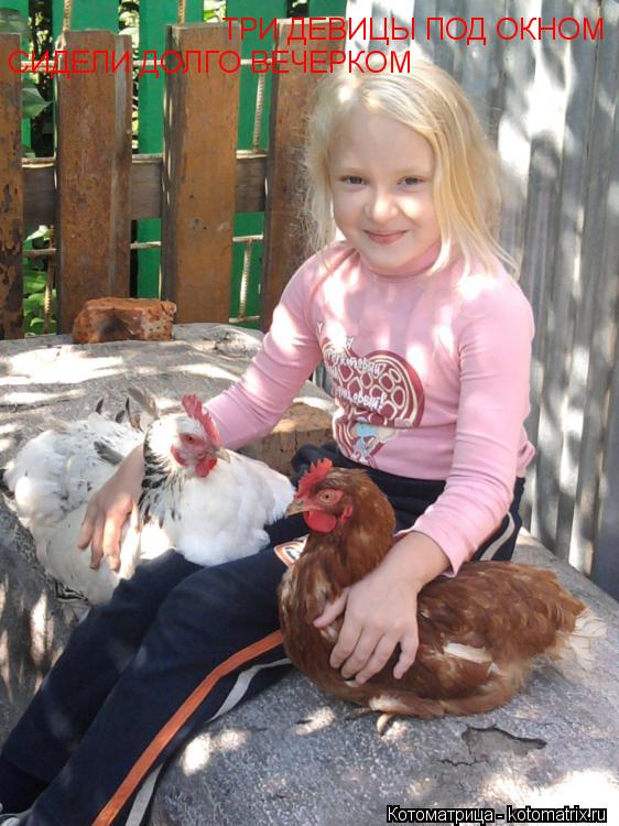 ТРИ ДЕВИЦЫ ПОД ОКНОМ СИДЕЛИ ДОЛГО ВЕЧЕРКОМ... Котоматрица: ТРИ ДЕВИЦЫ ПОД ОКНОМ СИДЕЛИ ДОЛГО ВЕЧЕРКОМ