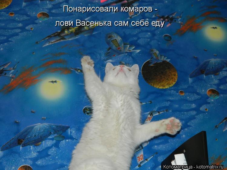 Котоматрица: Понарисовали комаров - лови Васенька сам себе еду