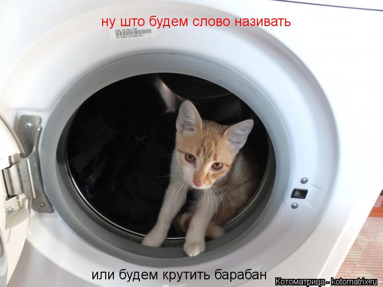 Котоматрица: ну што будем слово називать  или будем крутить барабан