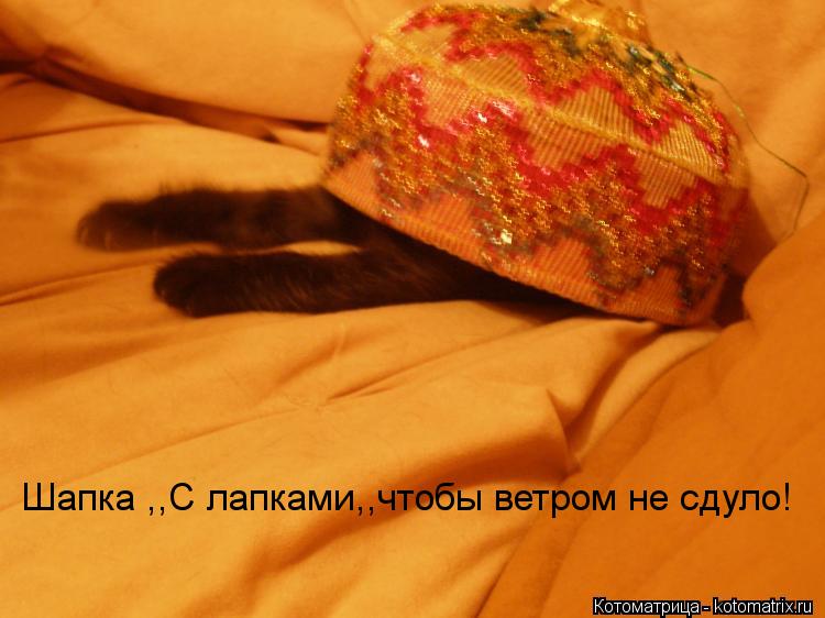 Котоматрица: Шапка ,,С лапками,,чтобы ветром не сдуло!