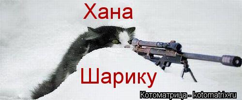 Хана Шарику... Котоматрица: Хана Шарику