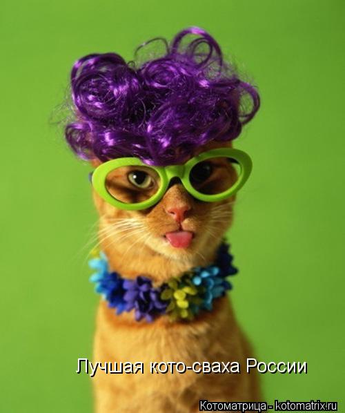 Котоматрица: Лучшая кото-сваха России