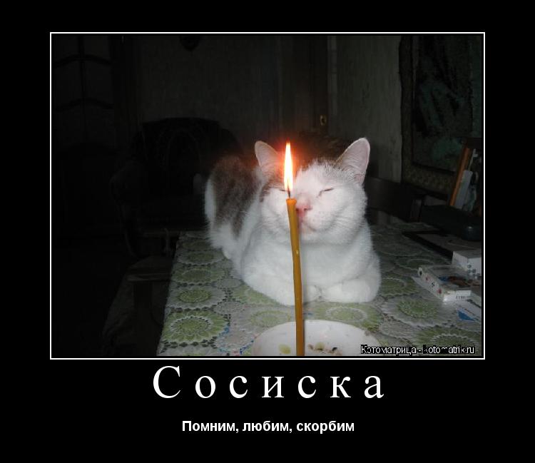 Сосиска Помним, любим, скорбим... Котоматрица: Сосиска Помним, любим, скорбим