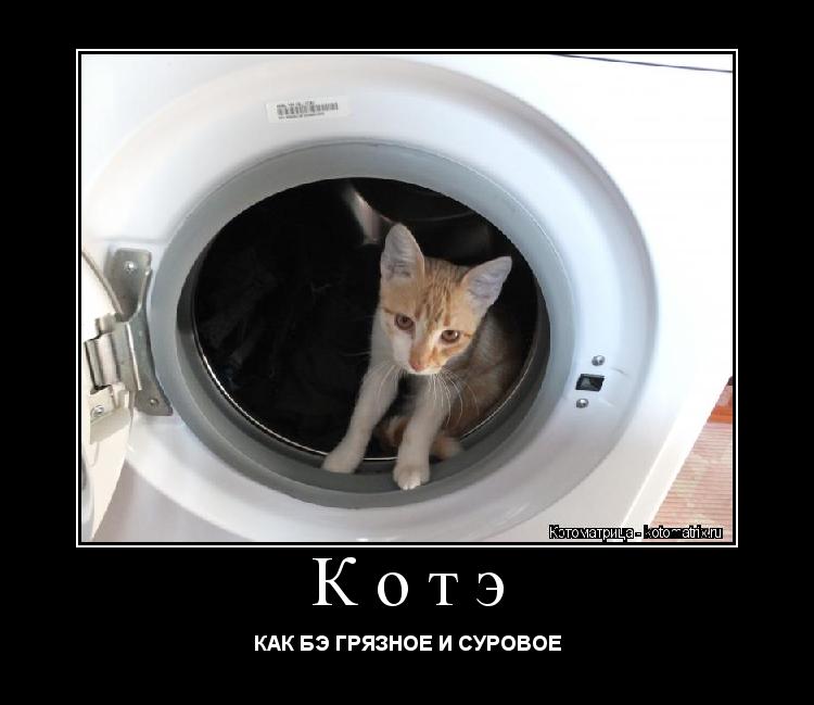 Котэ КАК БЭ ГРЯЗНОЕ И СУРОВОЕ... Котоматрица: Котэ КАК БЭ ГРЯЗНОЕ И СУРОВОЕ