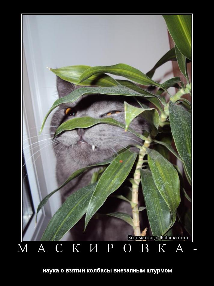 Котоматрица: М А С К И Р О В К А -  наука о взятии колбасы внезапным штурмом
