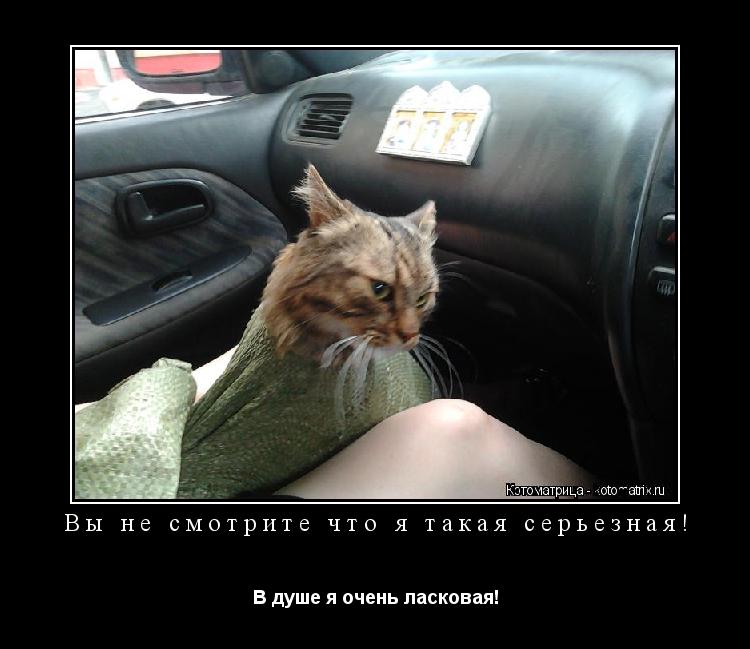 Котоматрица: Вы не смотрите что я такая серьезная! В душе я очень ласковая!