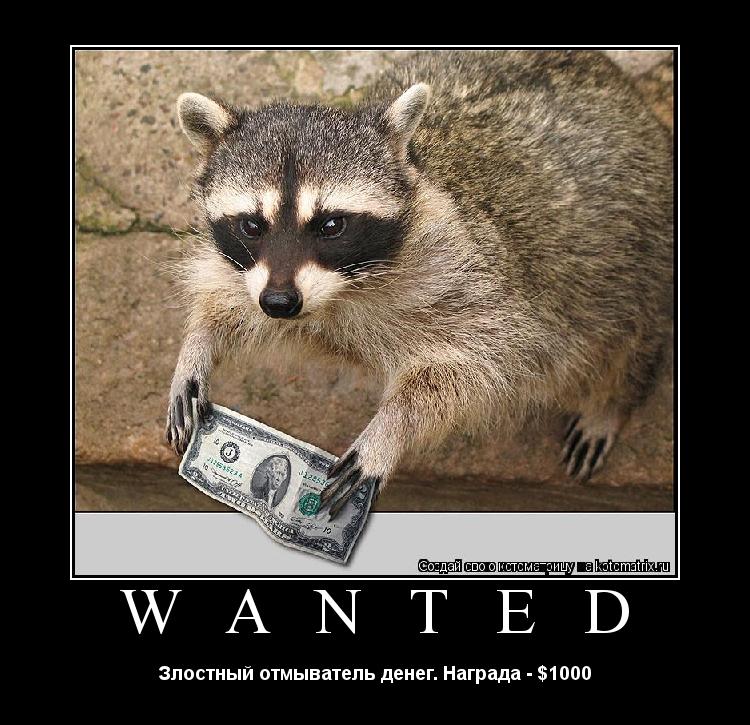 Котоматрица: W A N T E D Злостный отмыватель денег. Награда - $1000