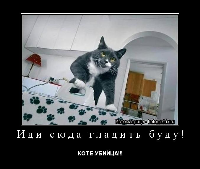 Котоматрица: Иди сюда гладить буду! КОТЕ УБИЙЦА!!!
