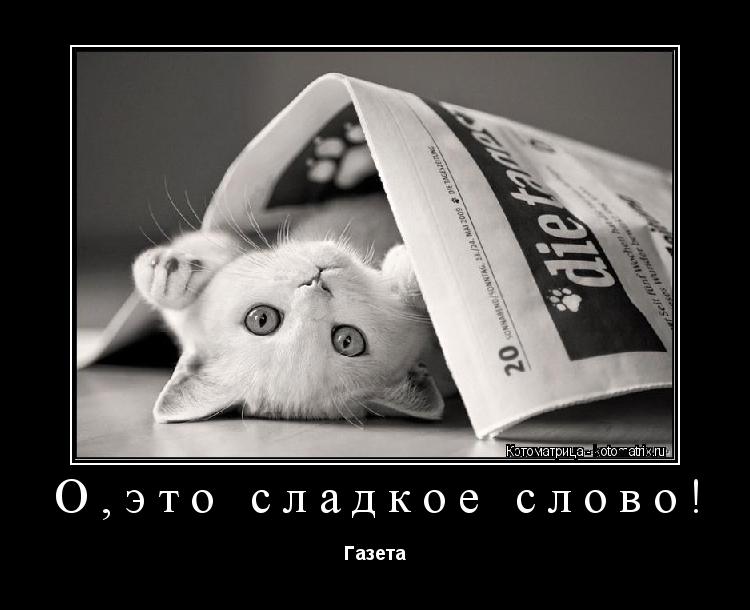 Котоматрица: О,это сладкое слово! Газета