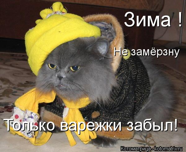 Котоматрица: Зима !  Не замёрзну  Только варежки забыл!