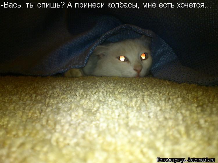 Котоматрица: -Вась, ты спишь? А принеси колбасы, мне есть хочется...