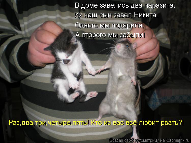 Котоматрица: В доме завелись два паразита: Их наш сын завёл,Никита. Одного мы подарили, А второго мы забыли! Раз,два,три,четыре,пять! Кто из вас всё любит р