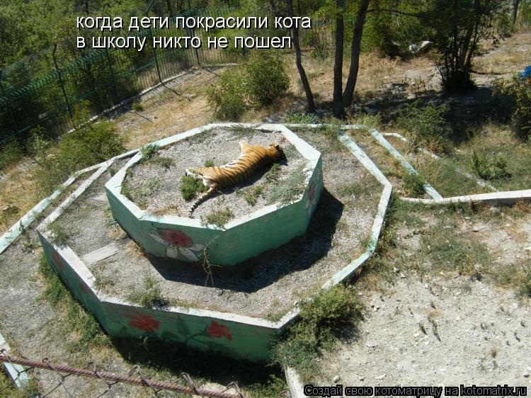 Котоматрица: когда дети покрасили кота в школу никто не пошел