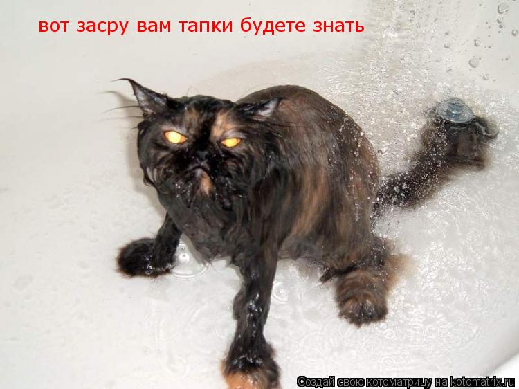 Котоматрица: вот засру вам тапки будете знать