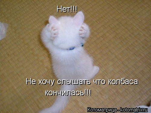 Котоматрица: Нет!!! Не хочу слышать что колбаса  кончилась!!!