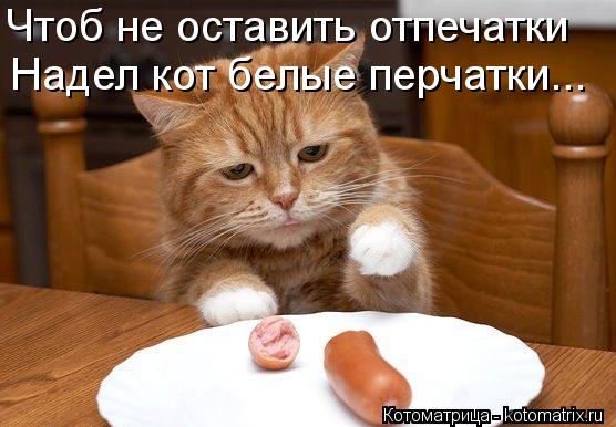 Котоматрица: Чтоб не оставить отпечатки Надел кот белые перчатки...
