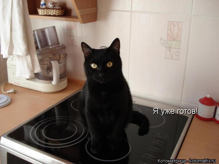 Котоматрица: Я уже готов!