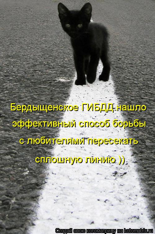 Бердыщенское ГИБДД нашло эффективный способ борьбы с любителями пересекать сплошную линию ))... Котоматрица: Бердыщенское ГИБДД нашло эффективный способ борьбы с любителями пересекать сплошную линию ))