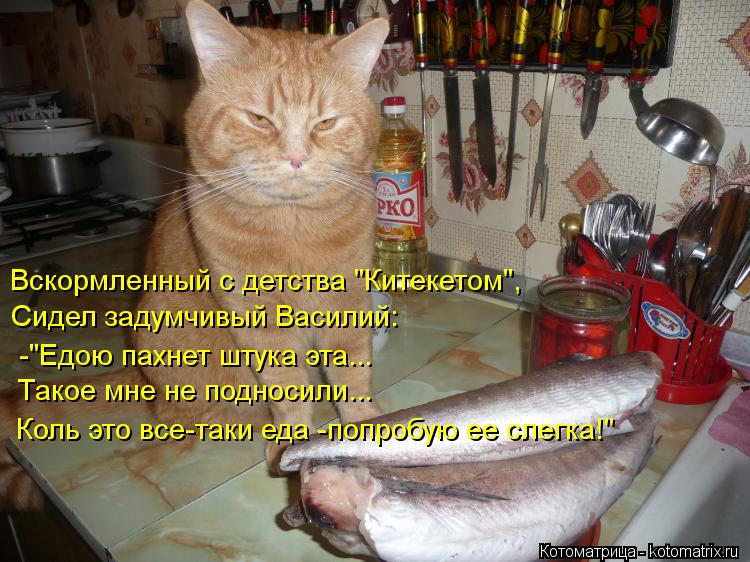 Вскормленный с детства "Китекетом", Сидел задумчивый Василий: -"Едою пахнет штука эта... Такое мне не... Котоматрица: Вскормленный с детства "Китекетом", Сидел задумчивый Василий: -"Едою пахнет штука эта... Такое мне не подносили... Коль это все-таки еда -попроб