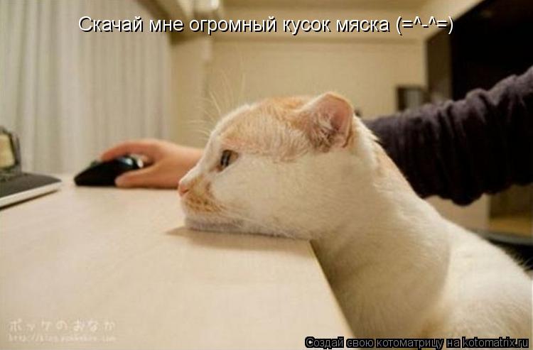 Котоматрица: Скачай мне огромный кусок мяска (=^-^=)