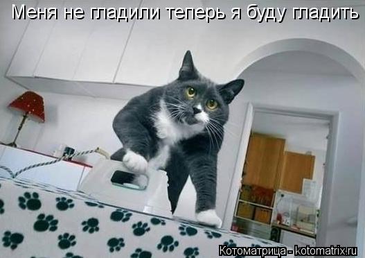Котоматрица: Меня не гладили теперь я буду гладить