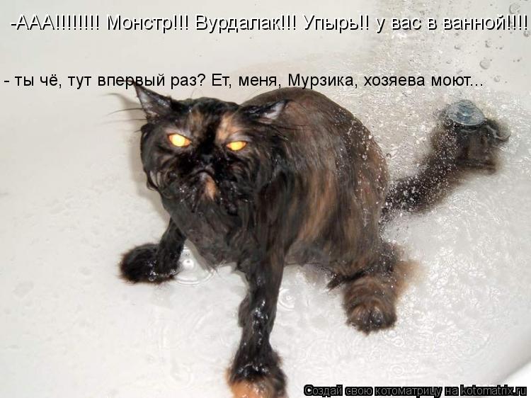 Котоматрица: -ААА!!!!!!!! Монстр!!! Вурдалак!!! Упырь!! у вас в ванной!!!! - ты чё, тут впервый раз? Ет, меня, Мурзика, хозяева моют...